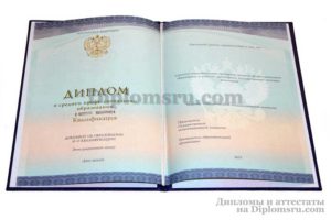 купить диплом прораммиста техникума и колледжа