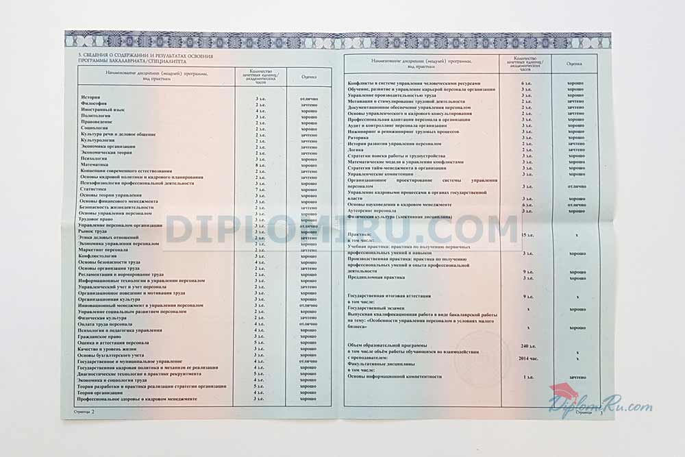 Заполненное приложение к диплому о высшем образовании  2014-2025 года 2 и 3 страницы